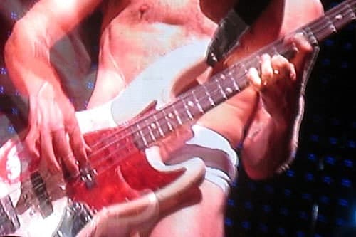 Flea – Acid for the Children. Autobiografická recenze od Marka Bera